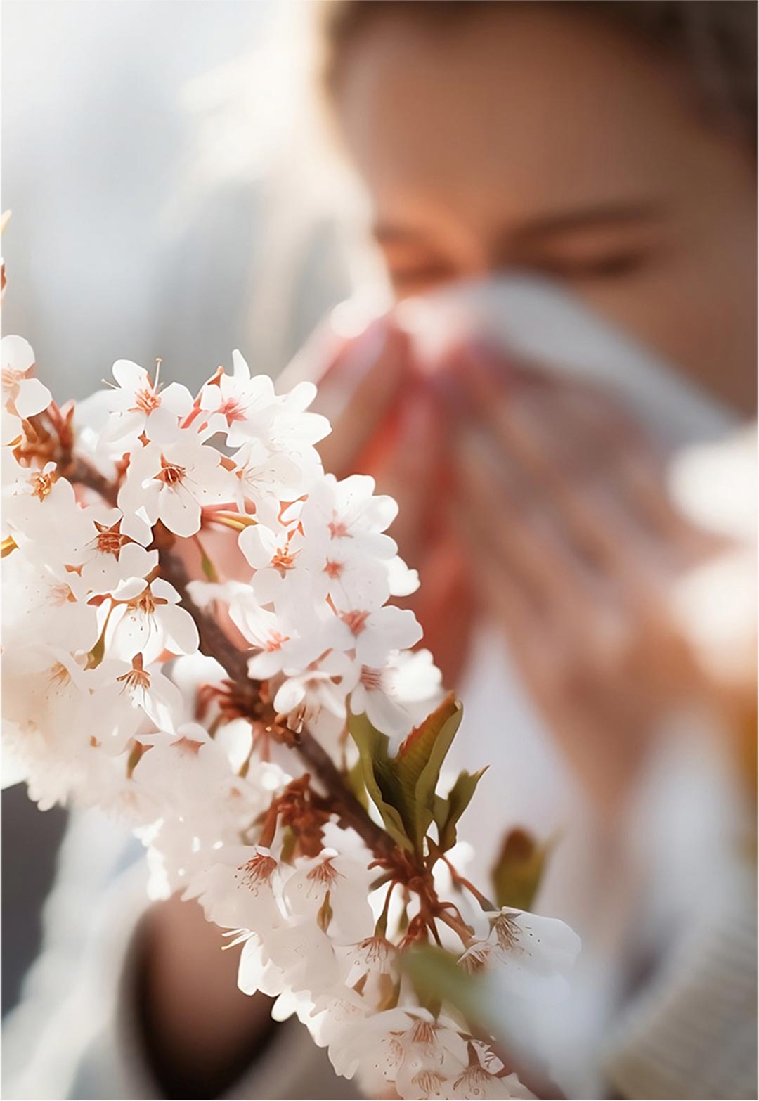 Allergie im Frühling